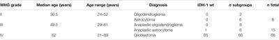 Potential Role of Hsp70 and Activated NK Cells for Prediction of Prognosis in Glioblastoma Patients